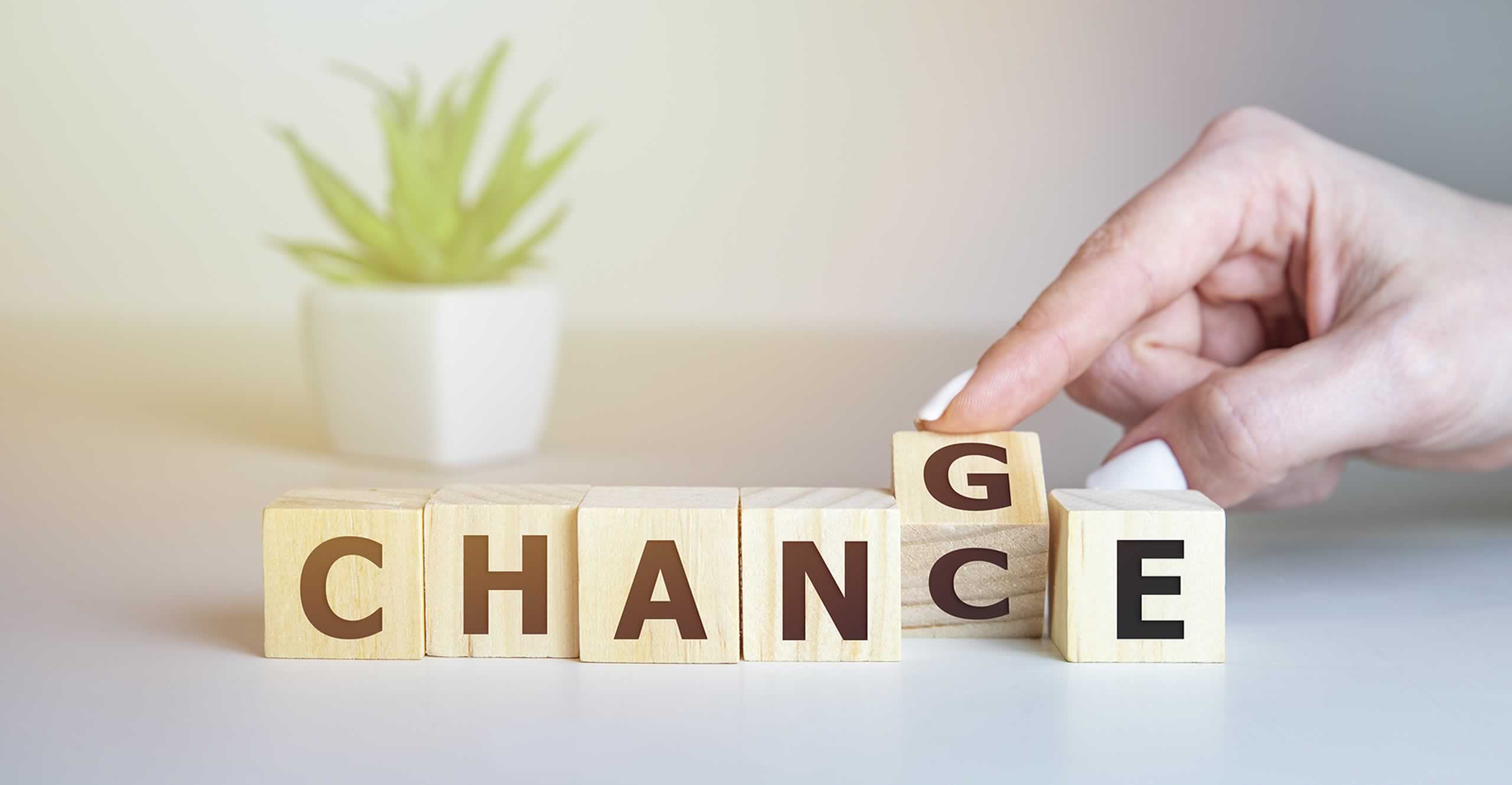 The Tapestry Network Woven In Coaching